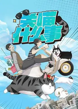 《关喵什么事》：萌宠治愈与人生哲思的奇妙碰撞，一场关于爱与陪伴的温馨之旅！