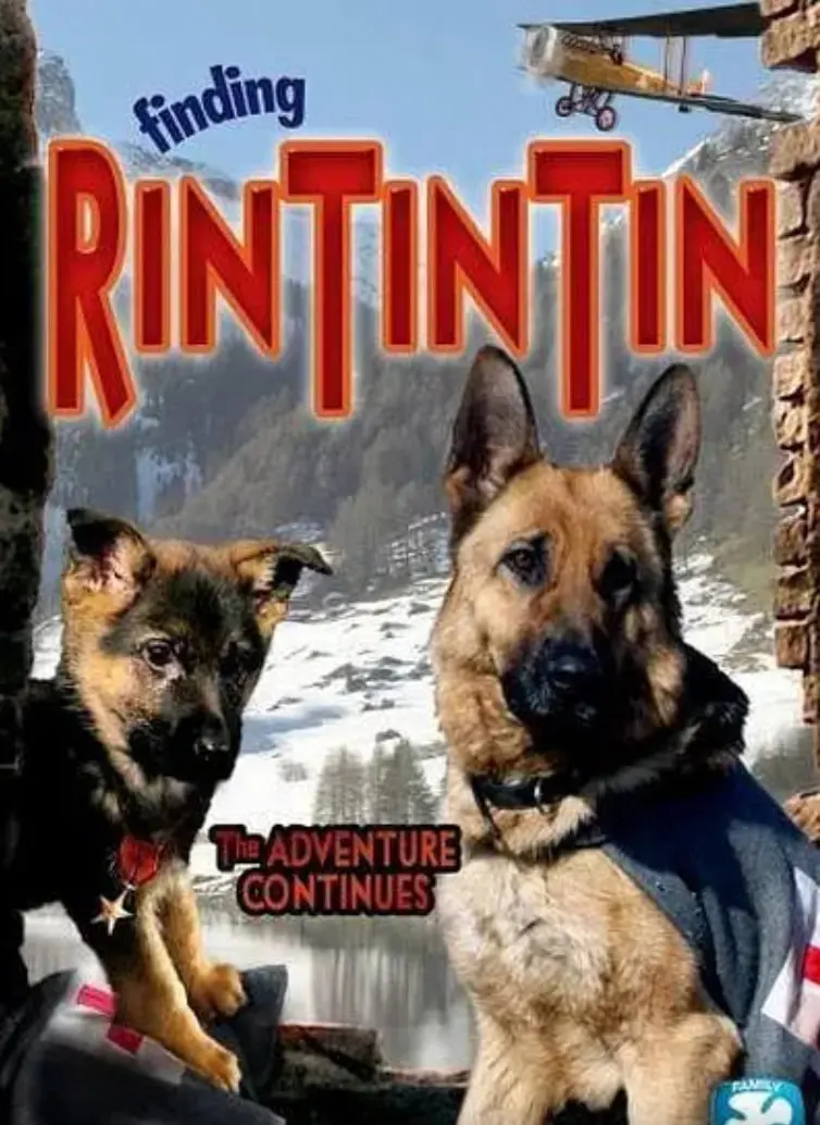 《发现任丁丁》：一部让你笑中带泪的寻常生活喜剧，看小人物如何活出大精彩